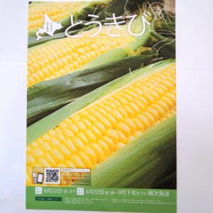北海道のとうきび
